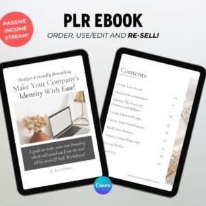 PLR Budget Branding Identity plr ebook template