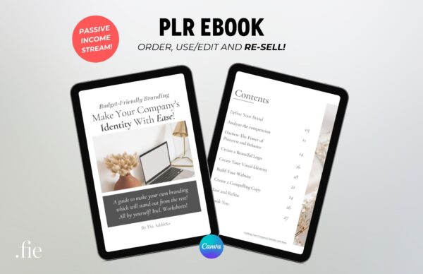 PLR Budget Branding Identity plr ebook template