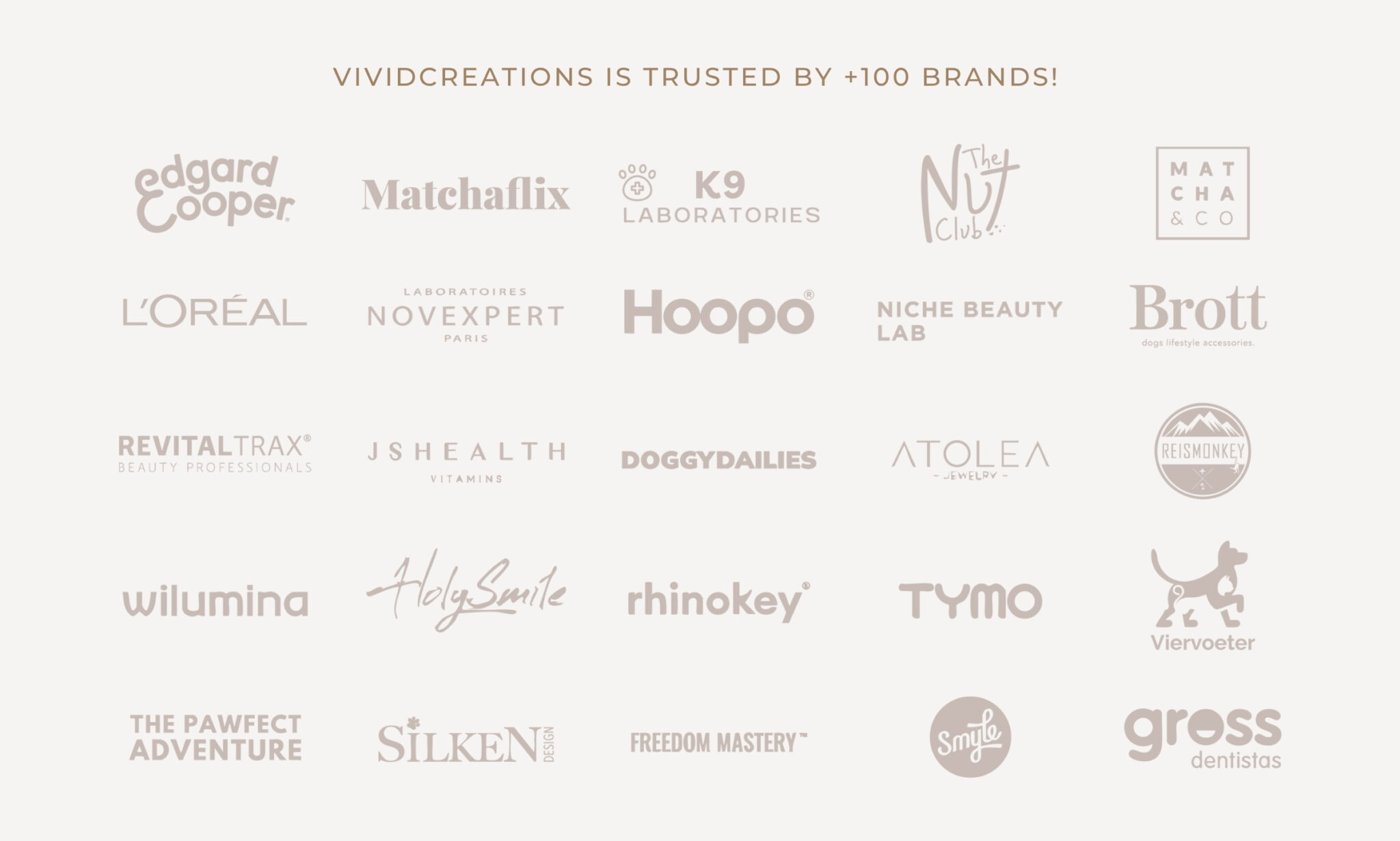 vivid creations